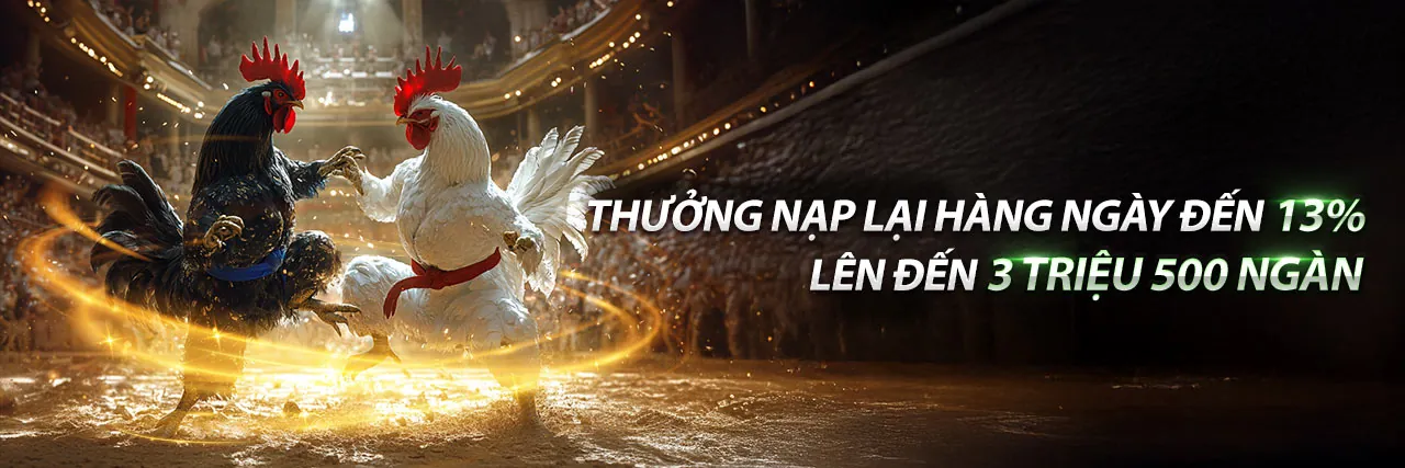 Sân đấu đá gà trực tuyến jn88 tải game với các chiến kê dũng mãnh